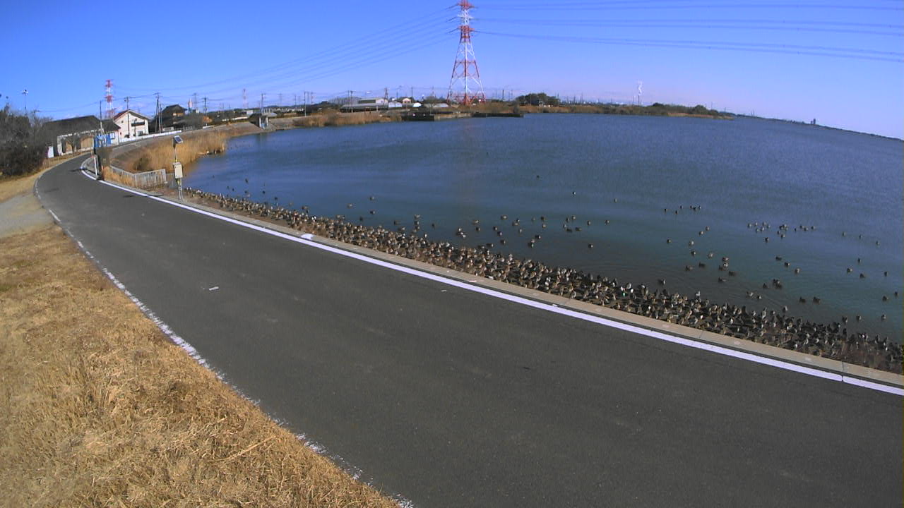 sakaura2026012612_image