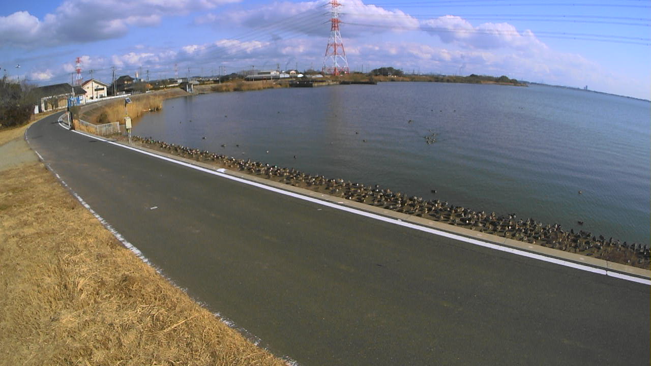 sakaura2026012712_image