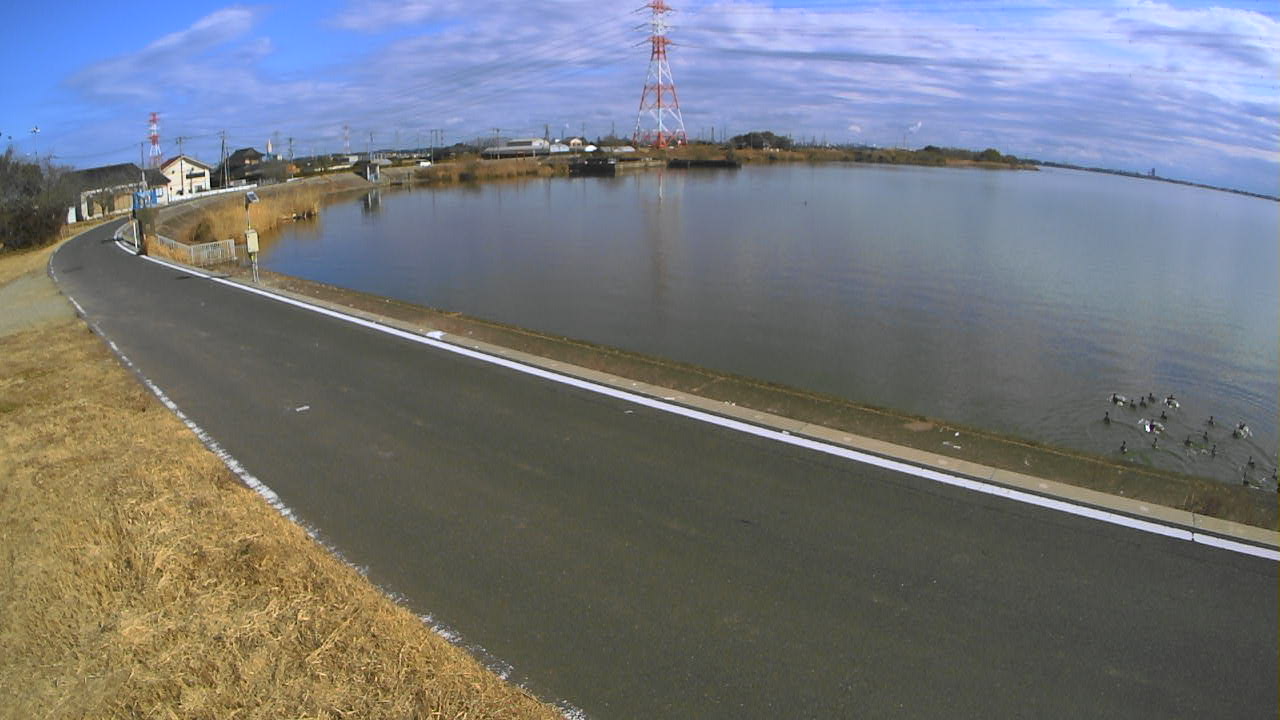 sakaura2026012812_image