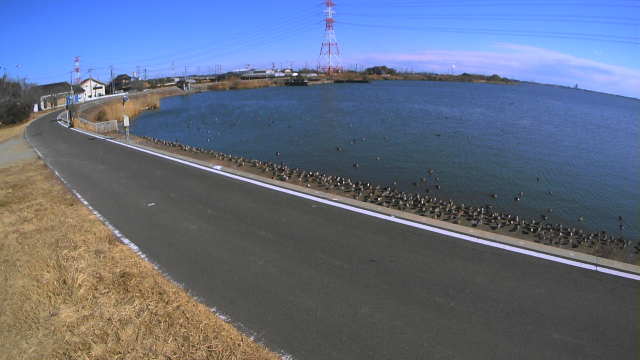 sakaura2026012912_image