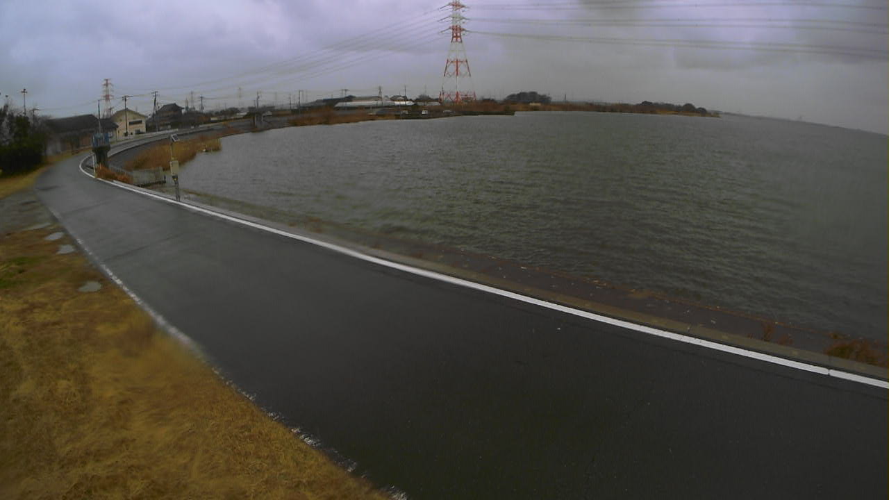 sakaura2026030312_image