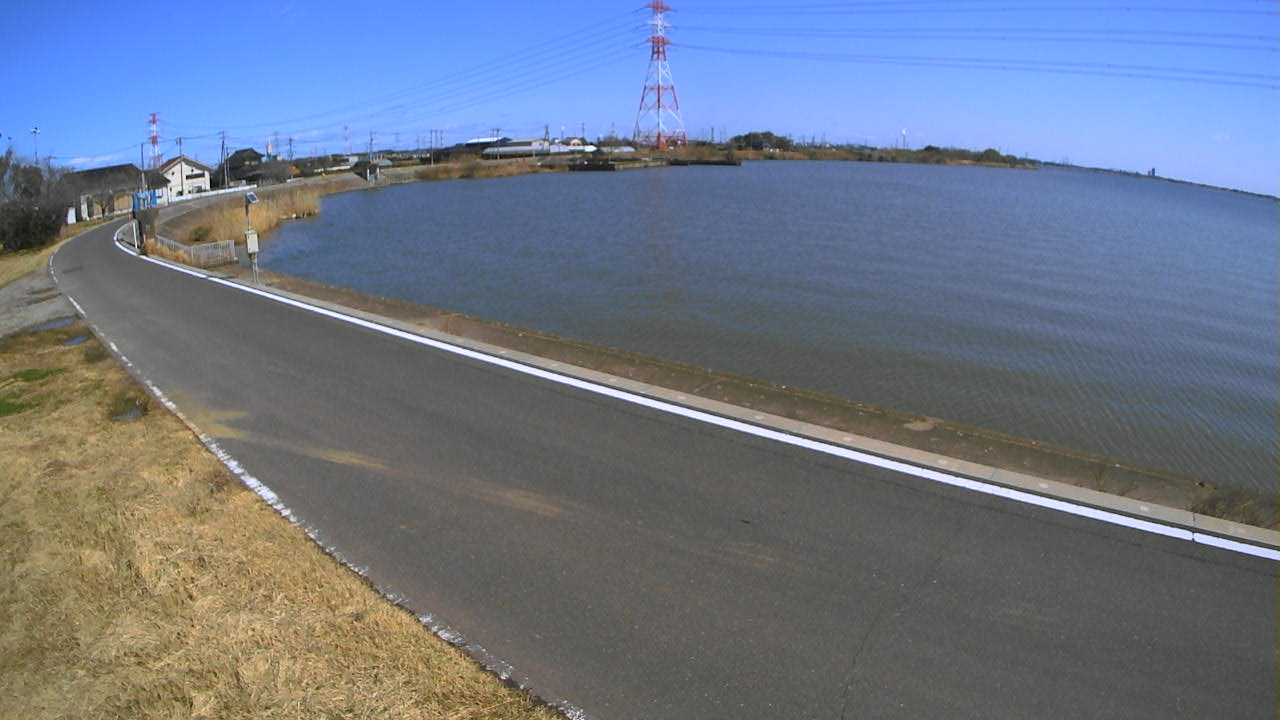 sakaura2026030512_image