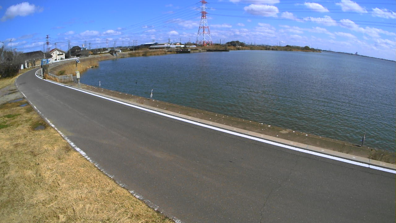 sakaura2026031112_image