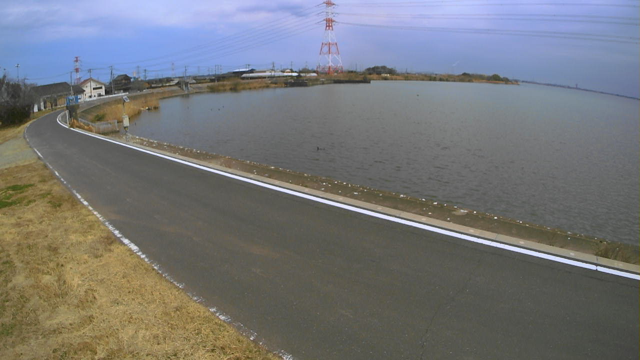 sakaura2026031712_image