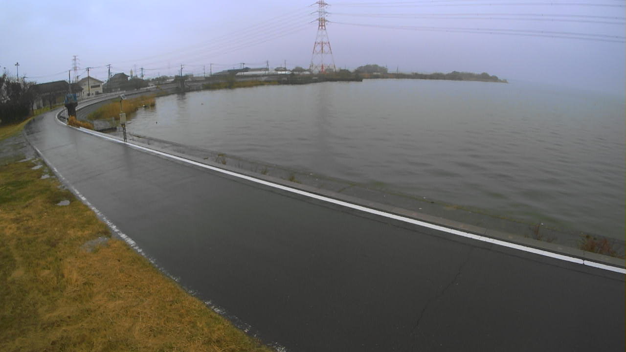 sakaura2026031907_image