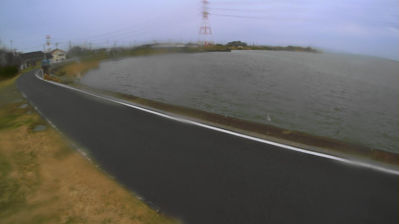 sakaura2026031916_image