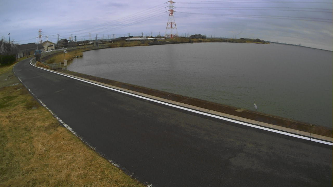 sakaura2026032014_image