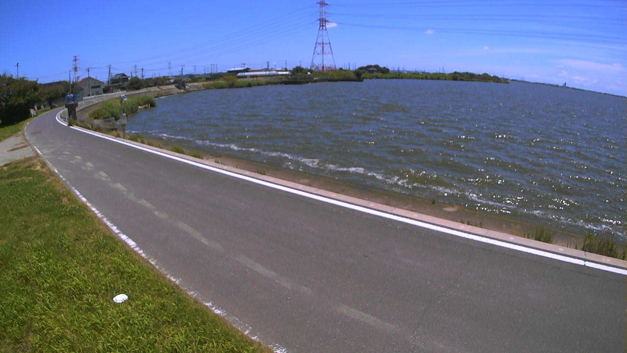 sakaura2026061711_image