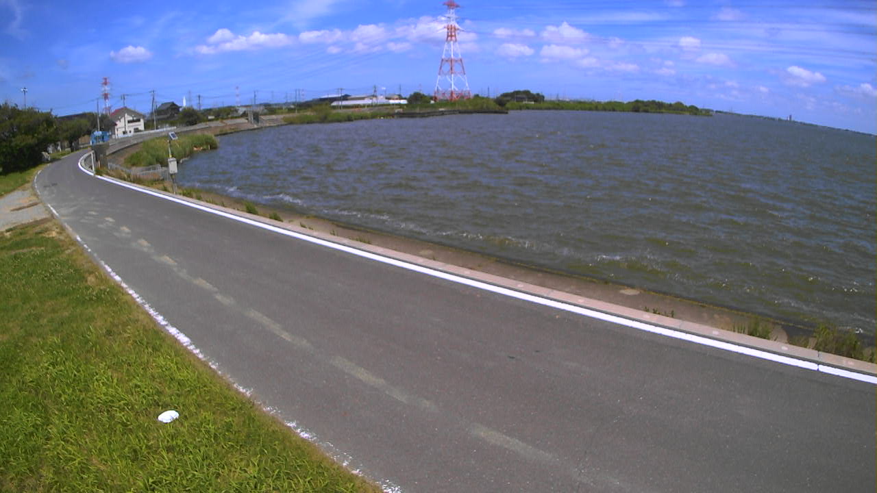 sakaura2026061713_image