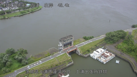 sakura2025060612_image