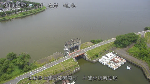 sakura2025060912_image
