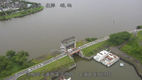 sakura2025061312_image