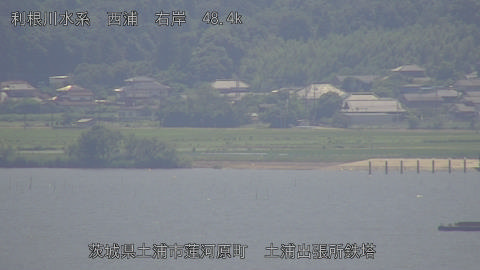 sakura2025061712_image