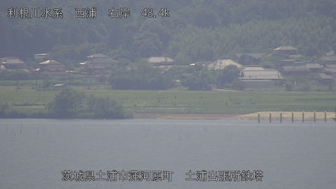 sakura2025061912_image