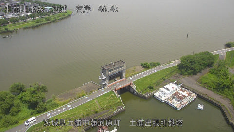 sakura2025062012_image