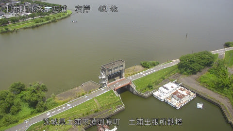 sakura2025062112_image
