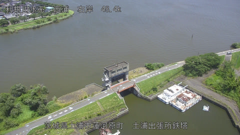 sakura2025062212_image