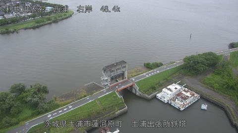 sakura2025062312_image