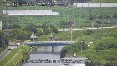 sakura2025073012_image