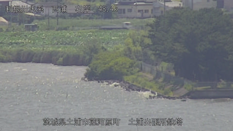 sakura2025073112_image