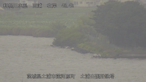 sakura2025080112_image