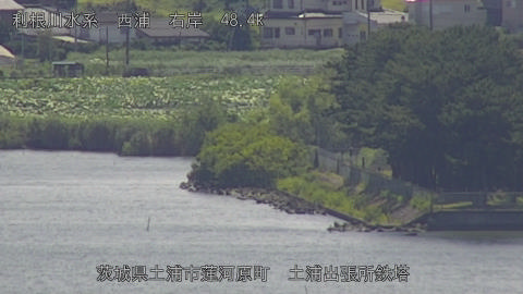 sakura2025080212_image