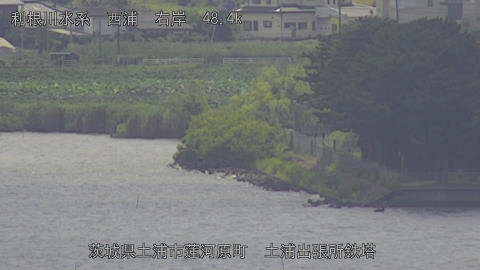 sakura2025080312_image