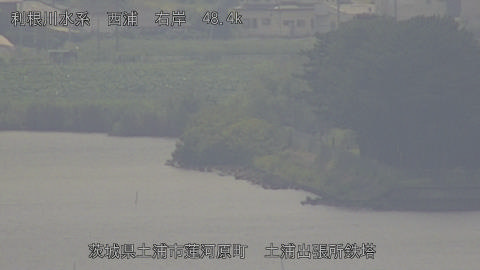 sakura2025080412_image