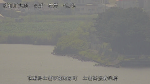 sakura2025080512_image