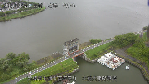 sakura2025081112_image