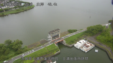 sakura2025081312_image