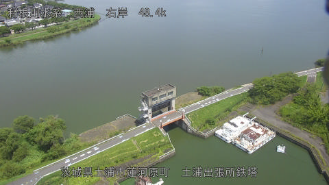 sakura2025081412_image