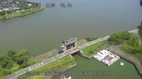 sakura2025081512_image
