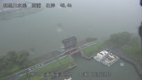 sakura2025081612_image
