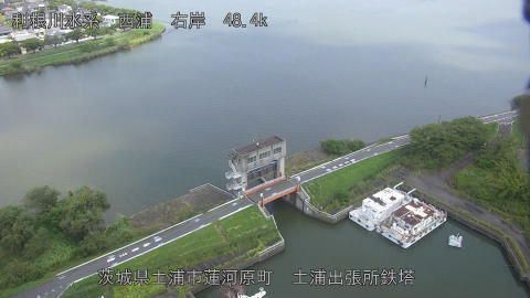 sakura2025081712_image