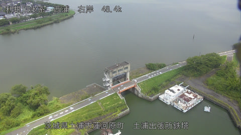 sakura2025081912_image