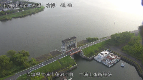 sakura2025082207_image