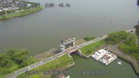 sakura2025082211_image