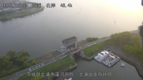 sakura2025082306_image