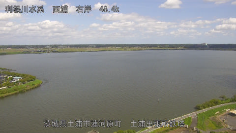 sakura2025092412_image
