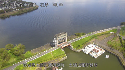 sakura2025100512_image