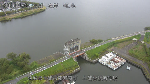 sakura2025100612_image