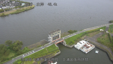 sakura2025100712_image