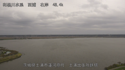 sakura2025101412_image