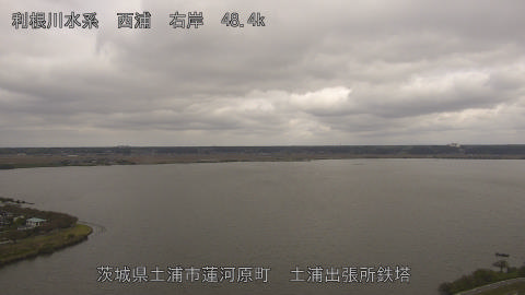 sakura2025101512_image