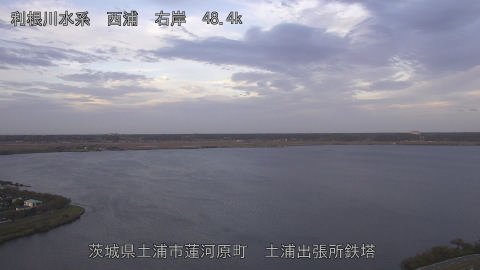 sakura2025101817_image