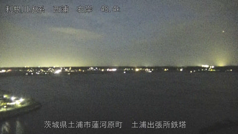 sakura2025101818_image