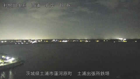 sakura2025101820_image