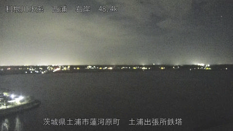 sakura2025101821_image