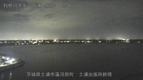 sakura2025101822_image